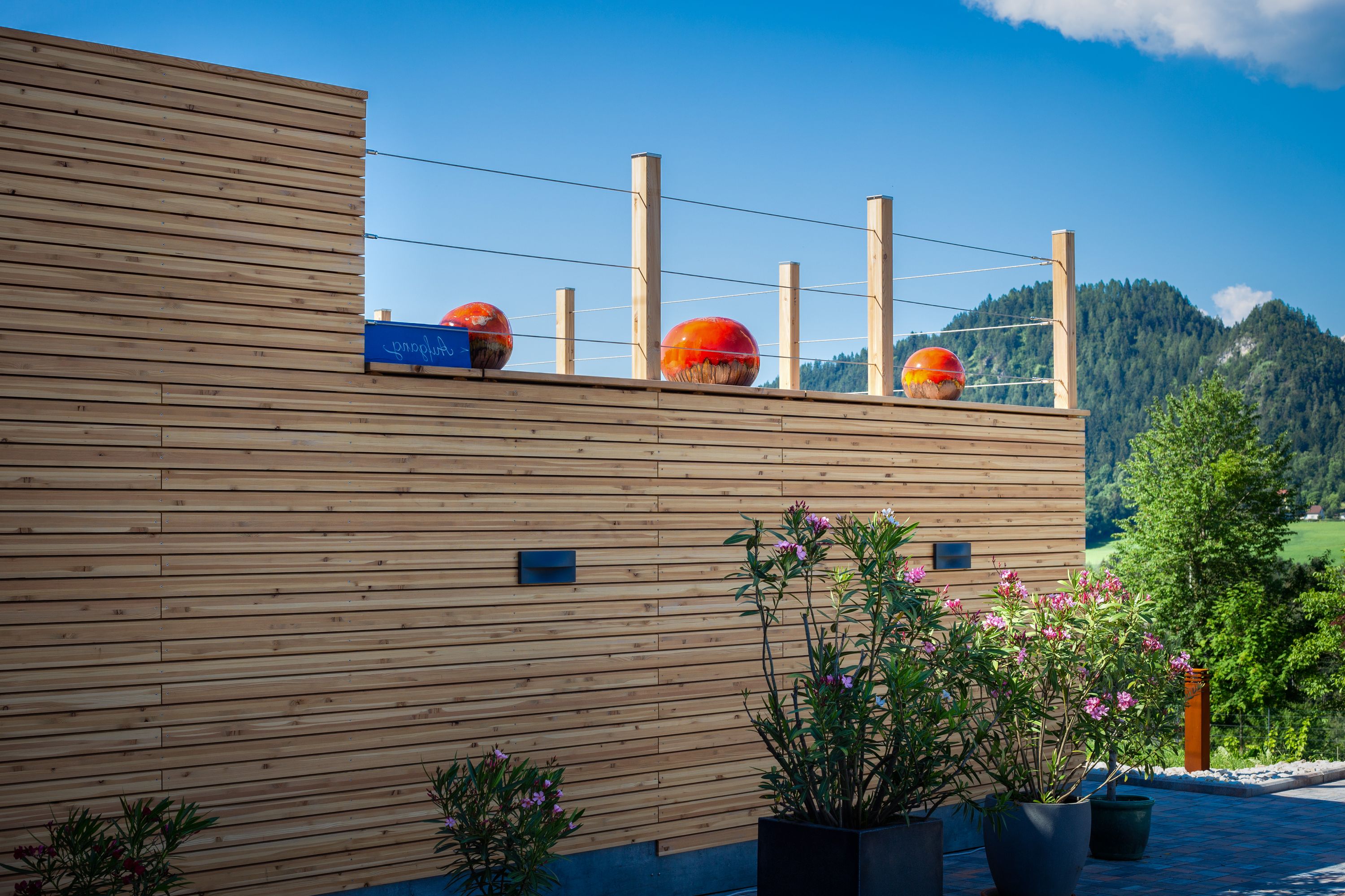 Fassade Holz Lärche