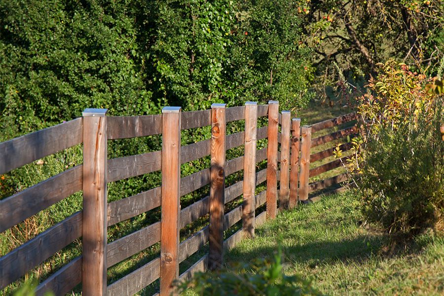 Zaun_Lärche_900x600