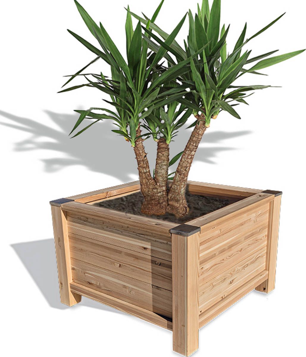 Pflanztrog EasyGastro 