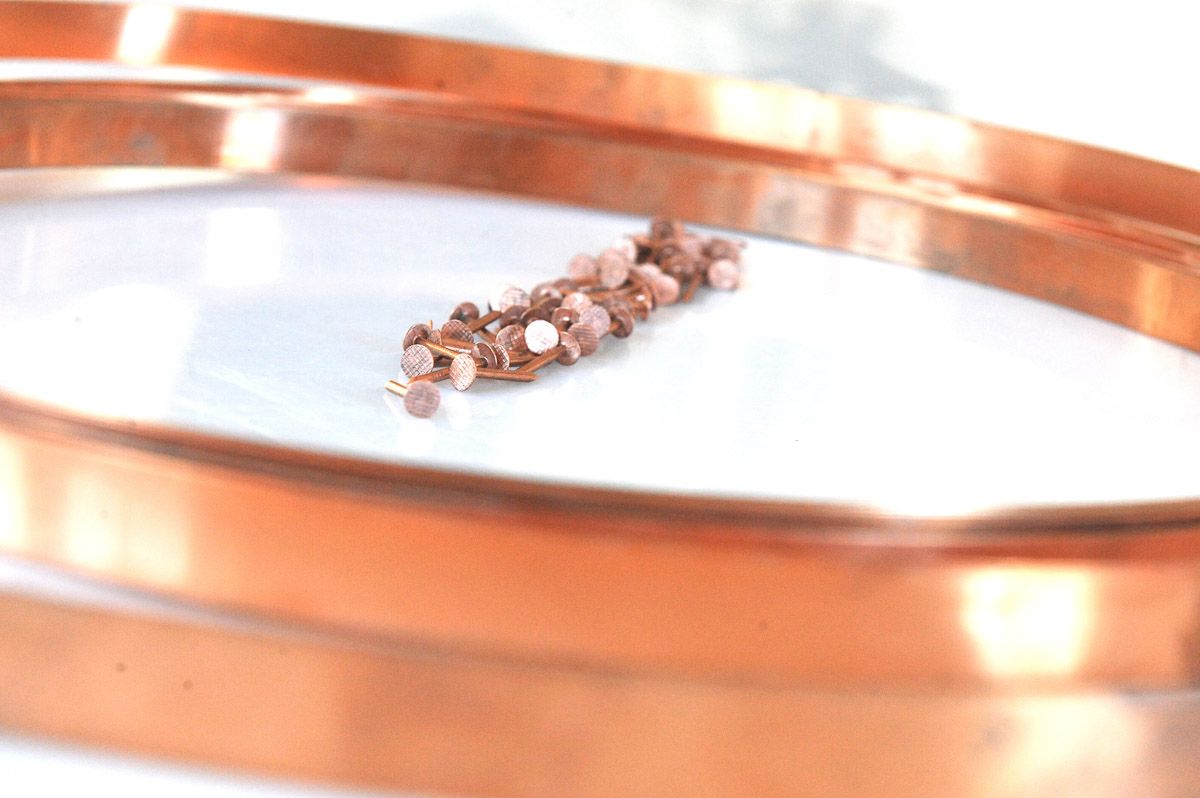 Schneckenschutzpaket für Hochbeet EasyRoll 