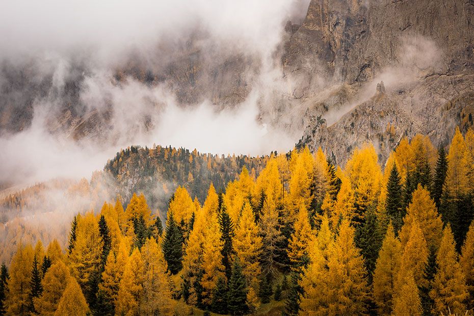 Nachhaltigkeit Zertifizierung